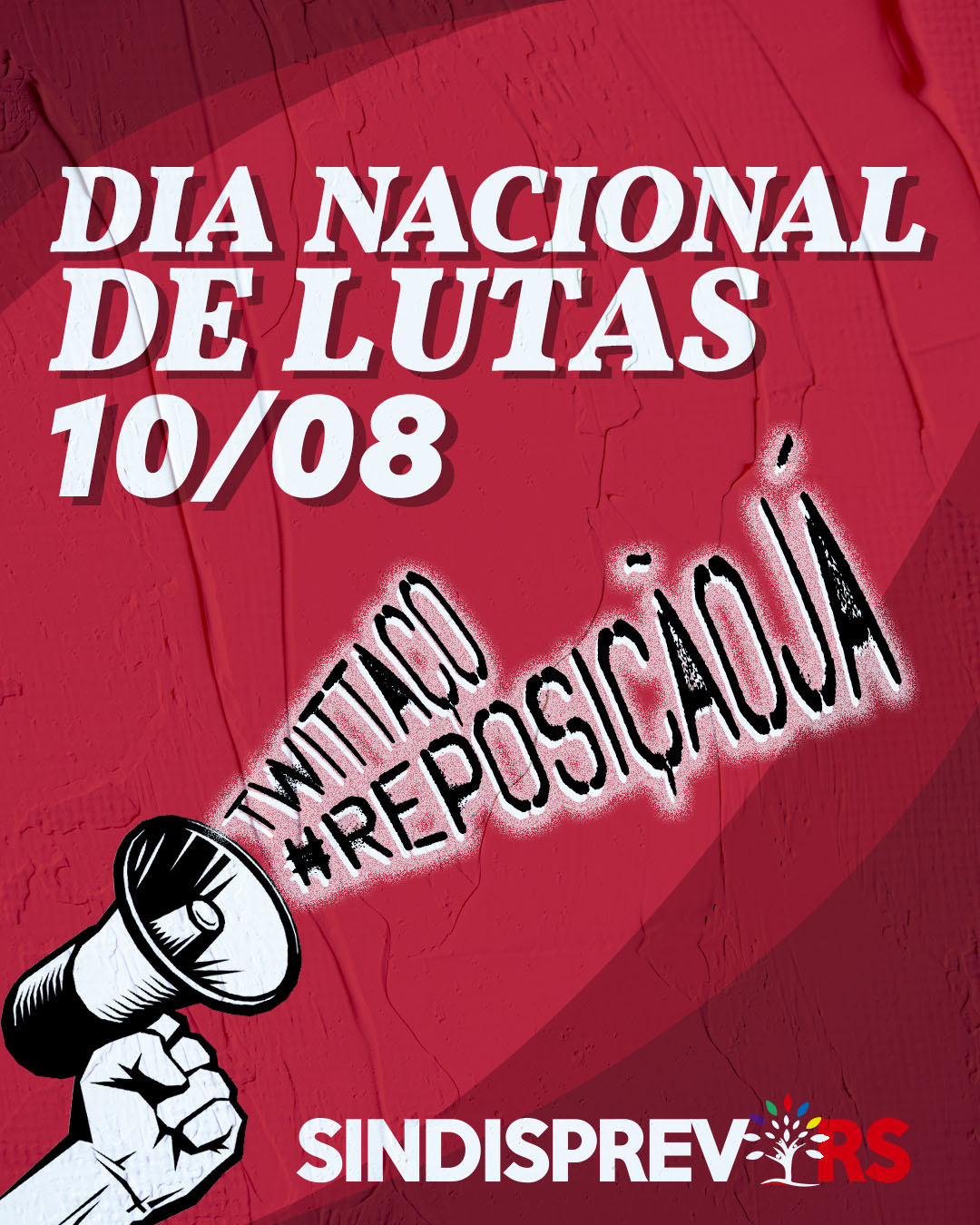 Dia Nacional De Lutas Reposi Oj Sindisprevrs